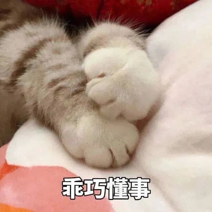 DƬ